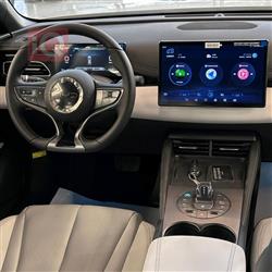 بي واي دي سيل 06 DM-i